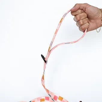 Lila Pawtique Fabric Leash Vik Fiesta for Dogs
