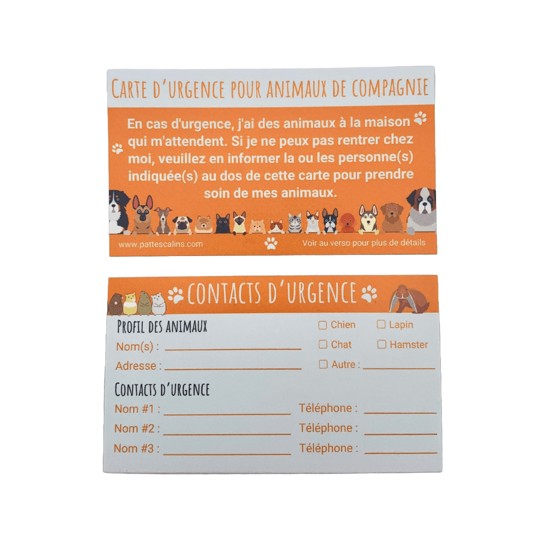 Ensemble porte-clés d’urgence