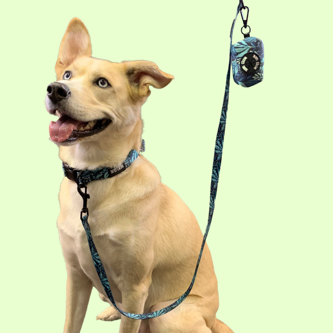 Laisse - Dans la jungle