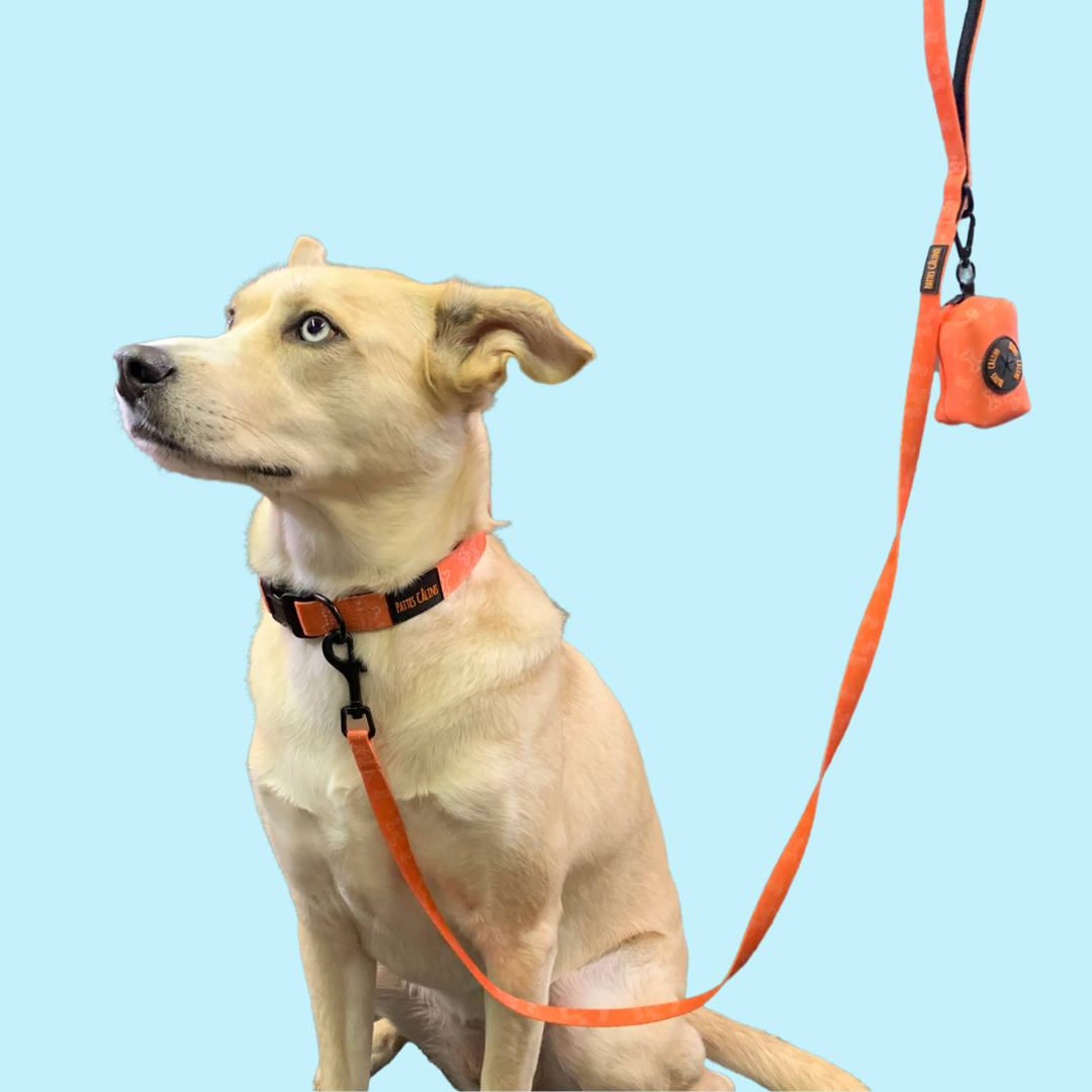 Distributeur de sacs à ramassage - Y a un os