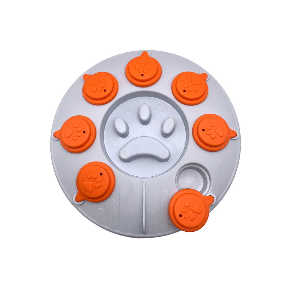 Puzzle Pattes en l’air