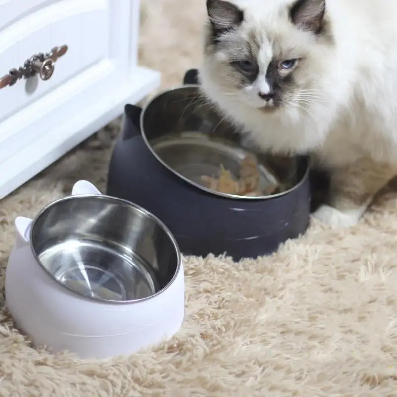 100ML Raised Cat Dog Bowl