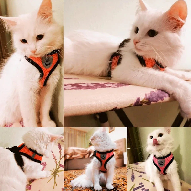 Adjustable Summer Pet Harness Leash Mesh Reflective Vest