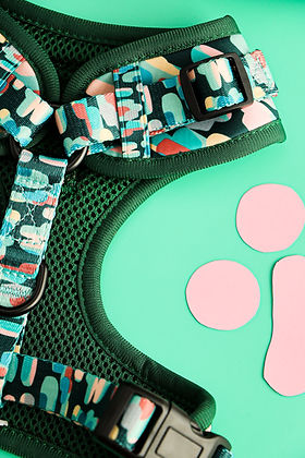 Adjustable Dog Harness Amazônia Tribe | Lila Pawtique