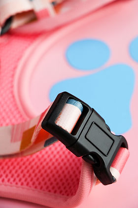 Dog Adjustable Harness Vik Fiesta | Lila Pawtique
