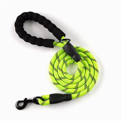 Reflective Dog Leash – Durable Safety for Night Walks