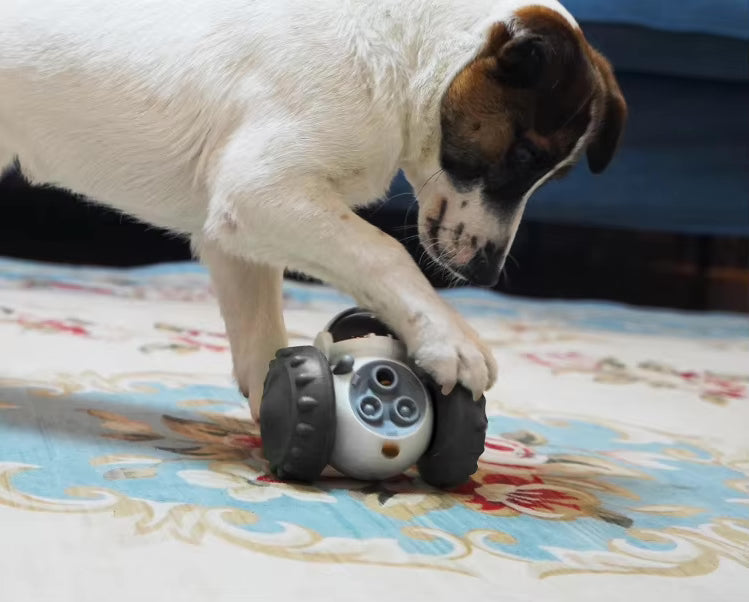 Interactive Robot Slow Feeder Toy – For Dogs & Cats