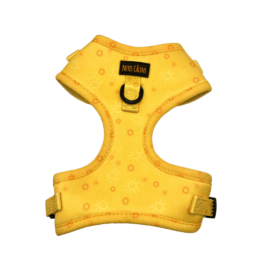 Harnais - Rayons de soleil