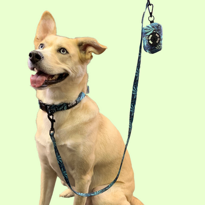 Laisse - Dans la jungle