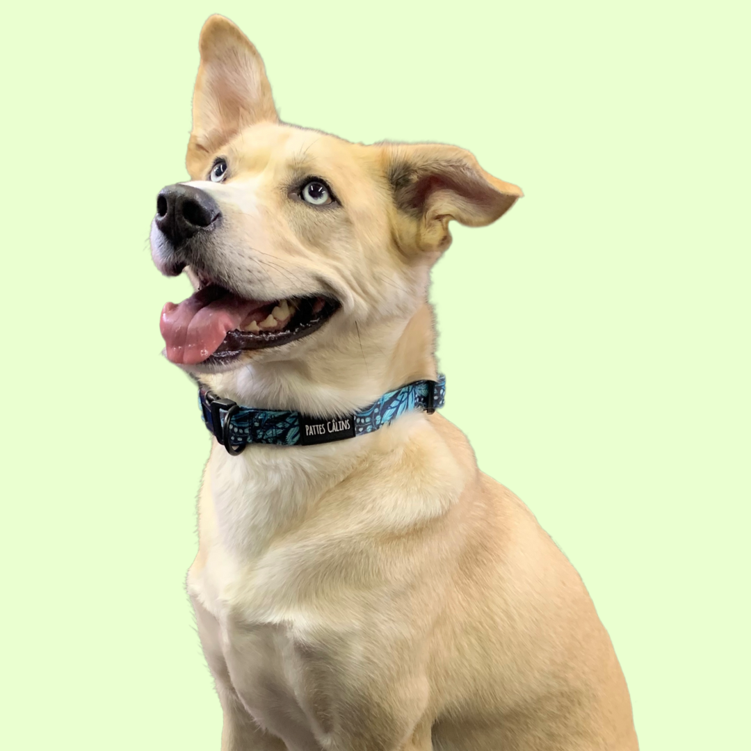 Collier - Dans la jungle