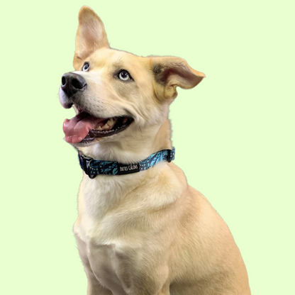 Collier - Dans la jungle