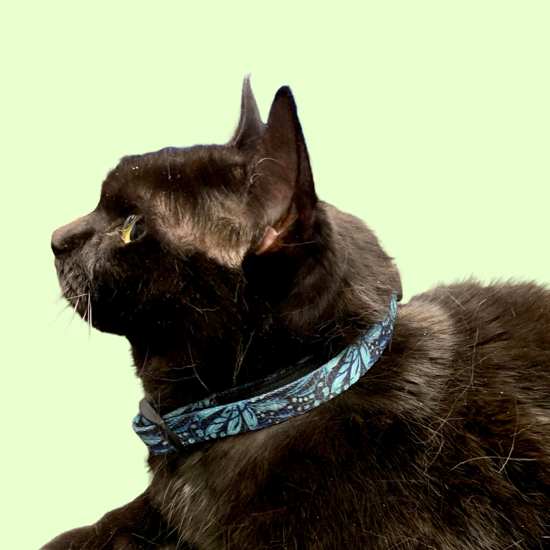 Collier - Dans la jungle