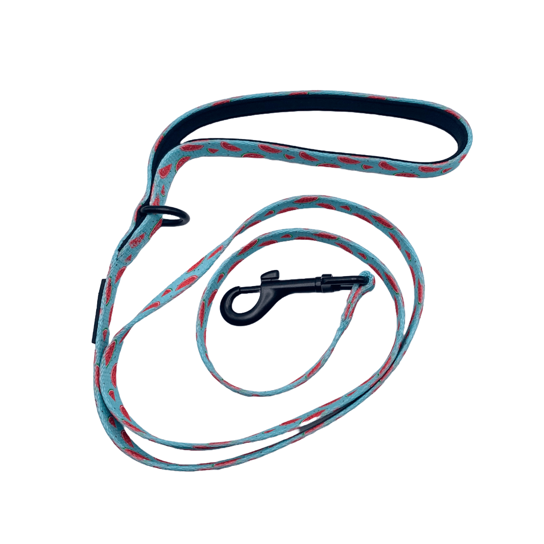 Laisse - Soif de melons