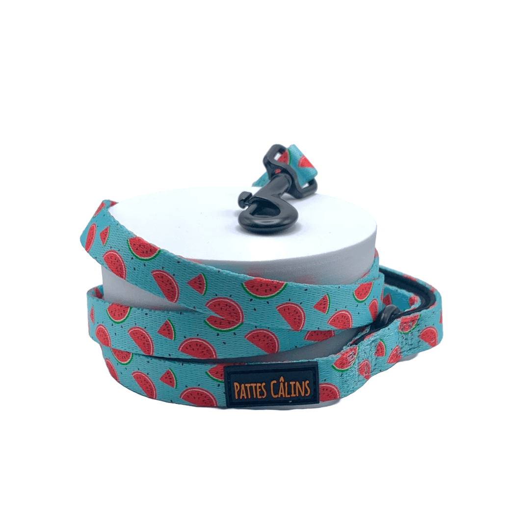 Laisse - Soif de melons