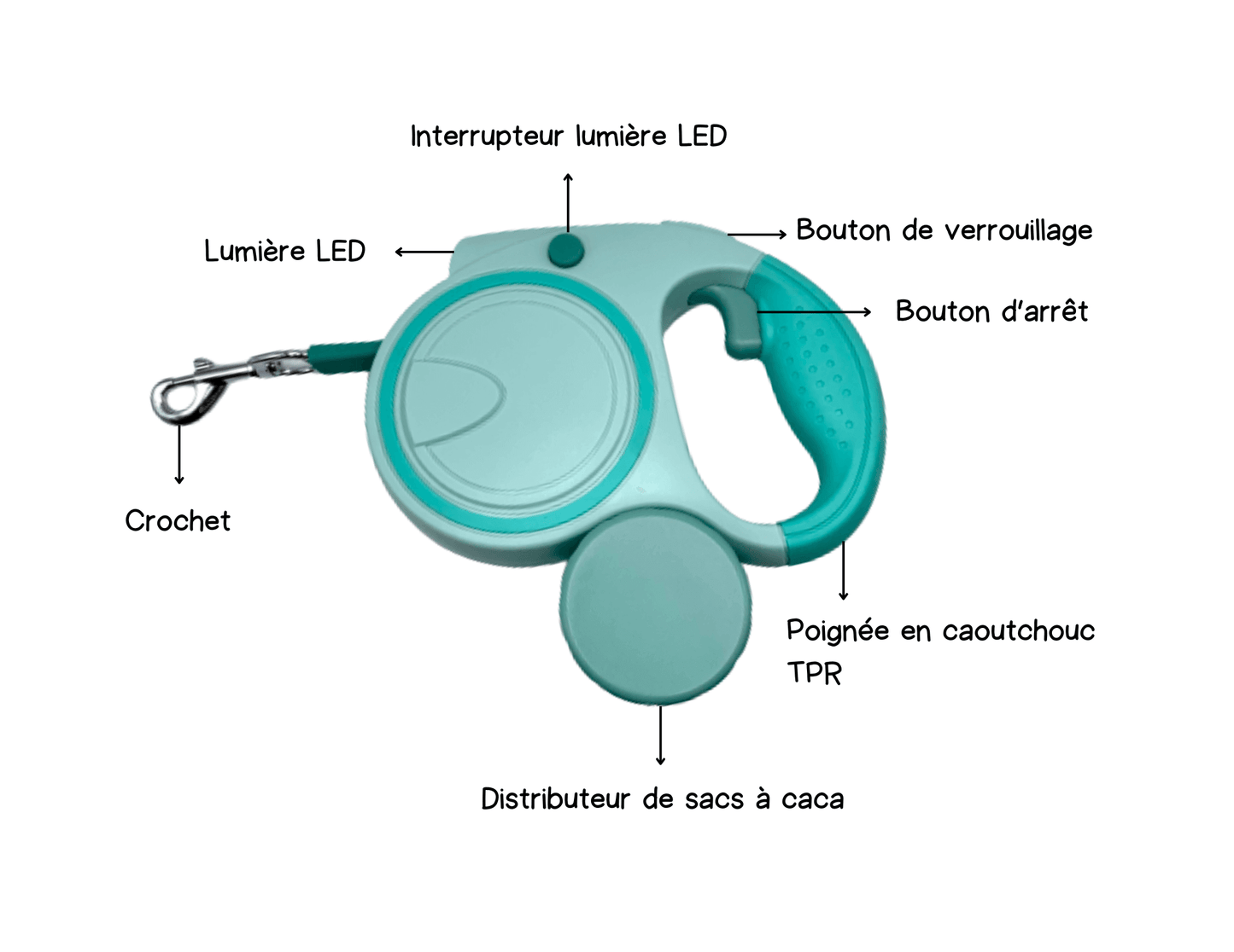 Laisse rétractable 3 en 1