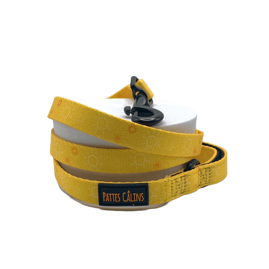 Laisse - Rayons de soleil