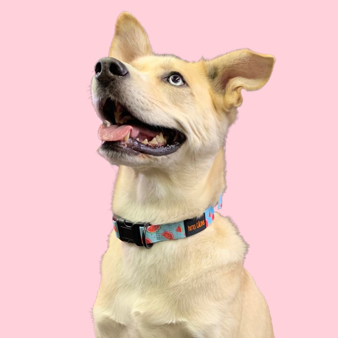 Collier - Soif de melons