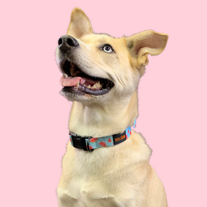 Collier - Soif de melons