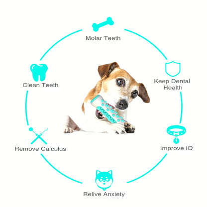 Chew Toys for Dogs – Unbreakable Molar Treat Dispenser
