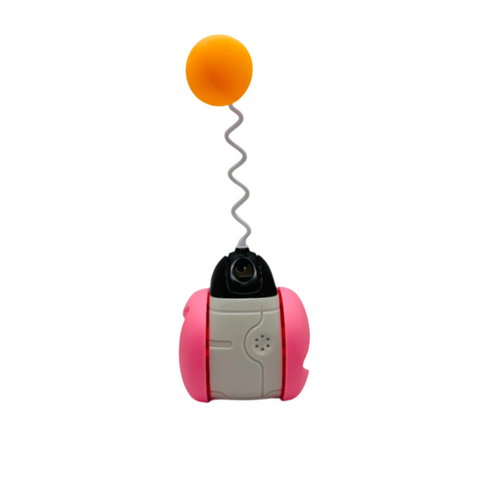 Interactive Squeaky Balance Toy – Fun for Dogs & Cats