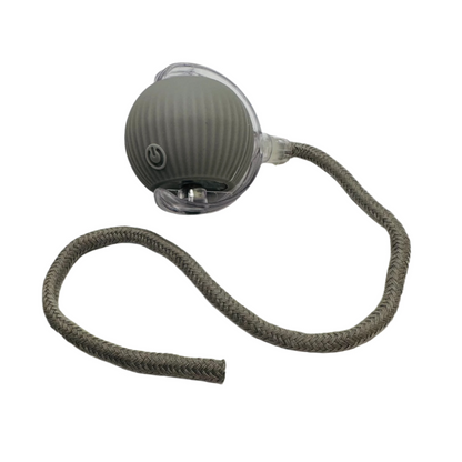 Vibrating Bouncing Ball – Interactive Toy for Cats & Dogs