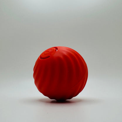 Vibrating Dog Ball Toy for Dogs & Cats – Interactive Bouncing