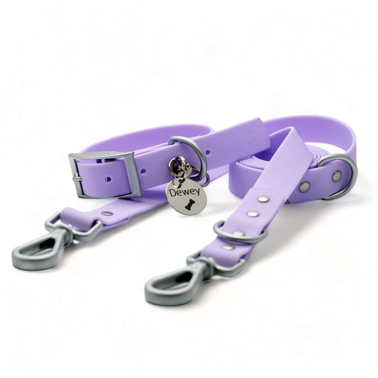 Dog Walk Combo: Collar, Leash, Dog Tag Set