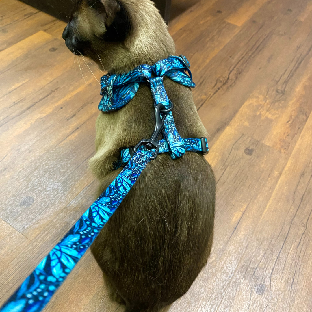 Laisse - Dans la jungle