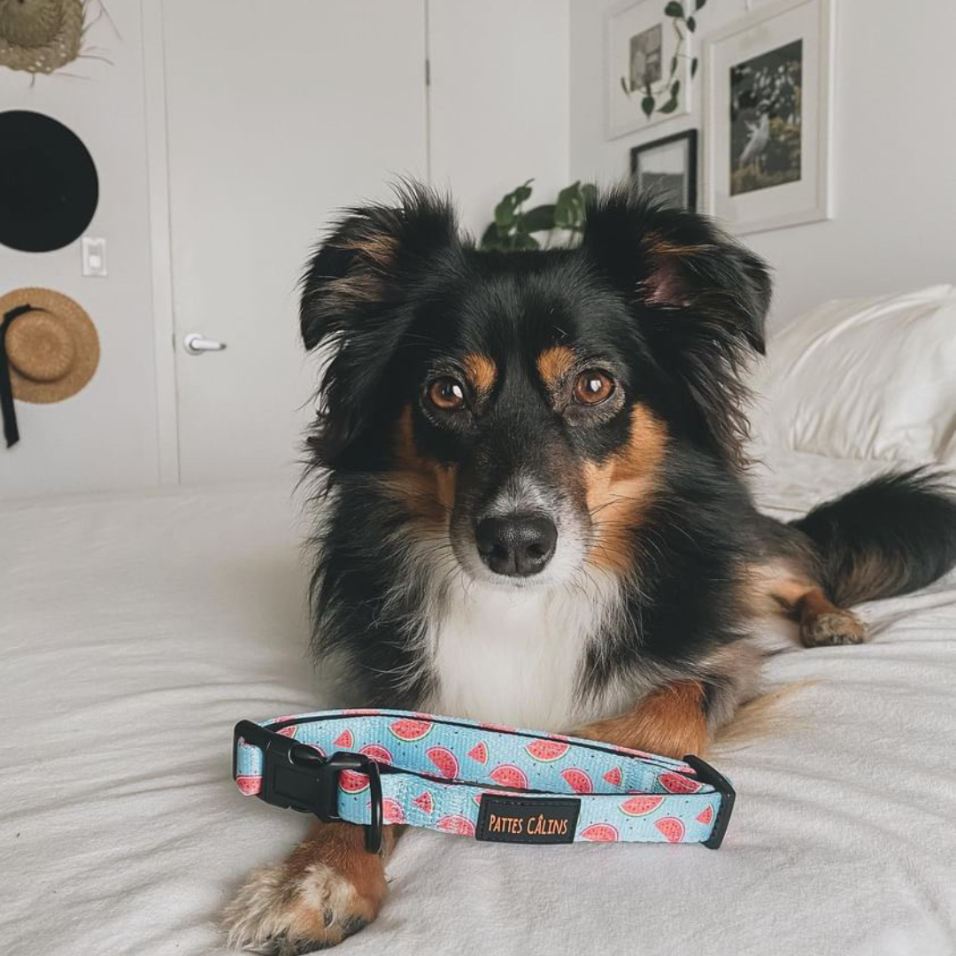 Collier - Soif de melons