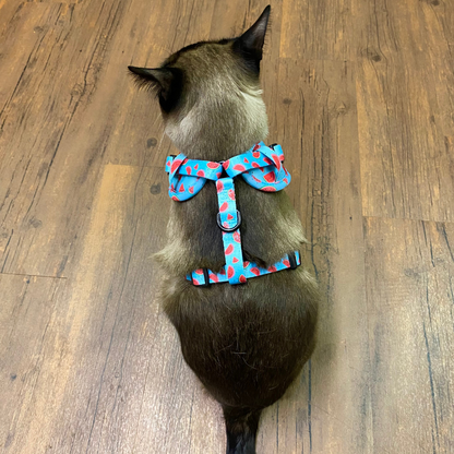 Harnais - Soif de melons