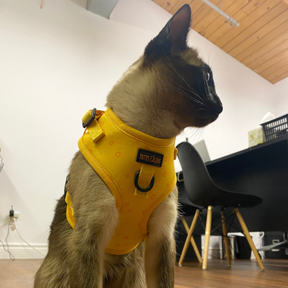 Harnais - Rayons de soleil