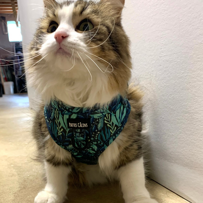 Harnais - Dans la jungle