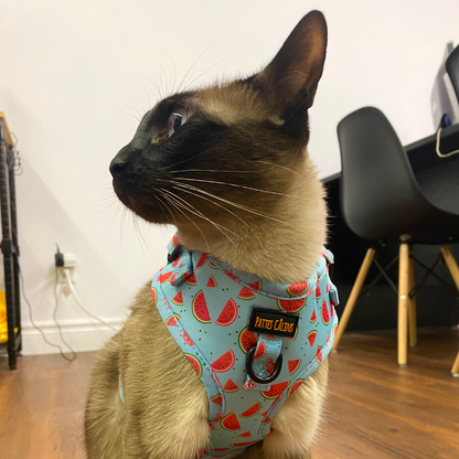 Harnais - Soif de melons