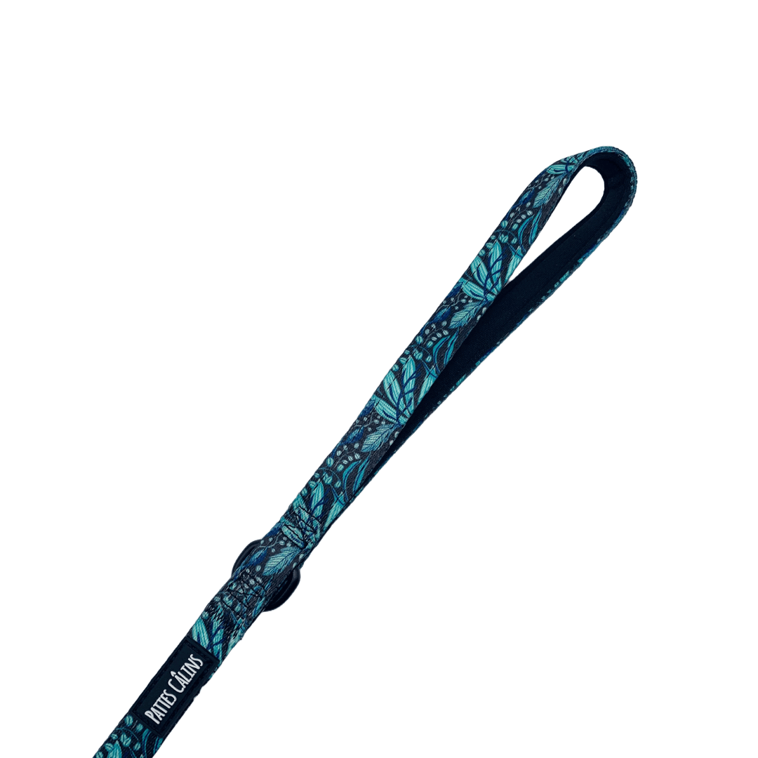 Laisse - Dans la jungle