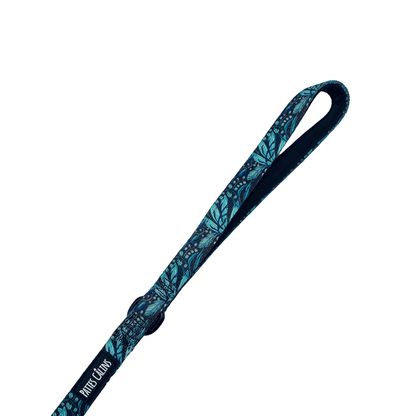 Laisse - Dans la jungle