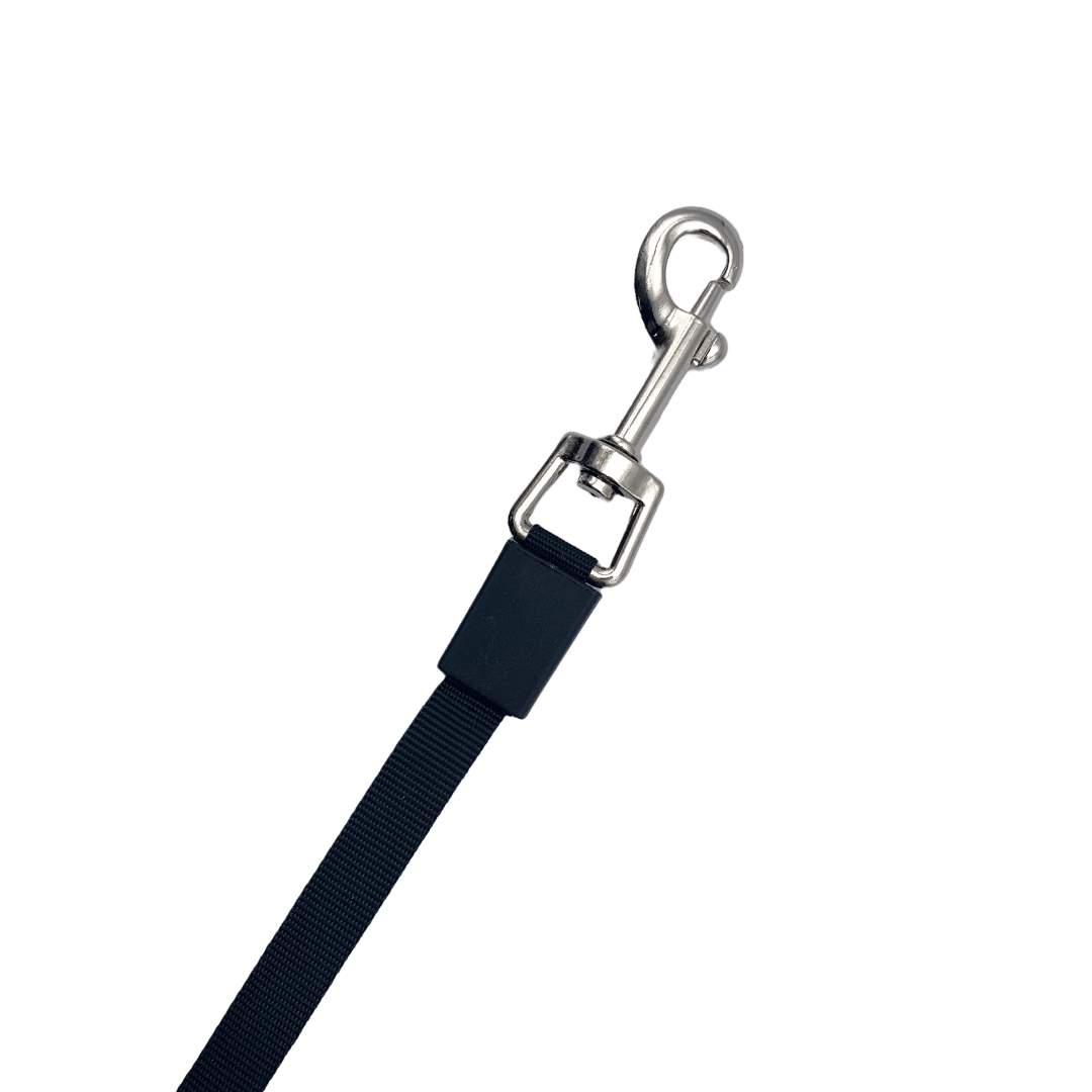 Laisse rétractable - Picot noir