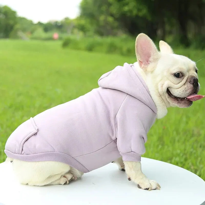 Warm Fashion Dog Sweater Hooded