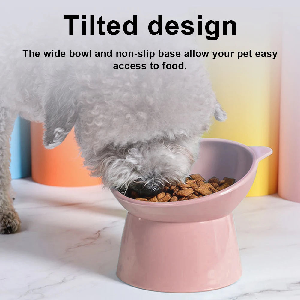 Elevated Anti-Slip Pet Bowl