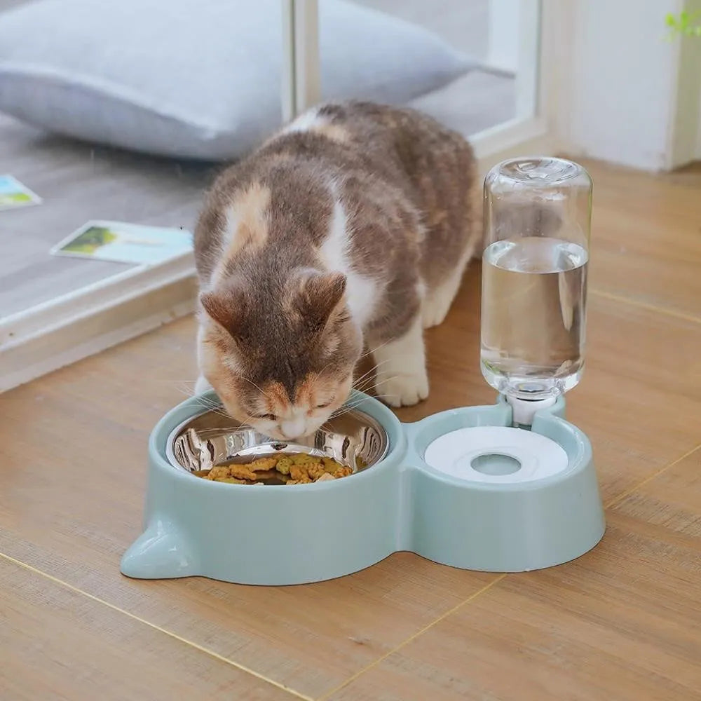 2-in-1 Cat Bowl & Automatic Water Dispenser