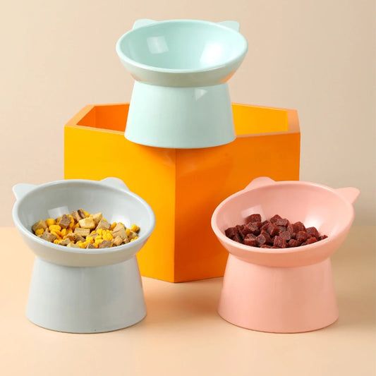 Elevated Anti-Slip Pet Bowl