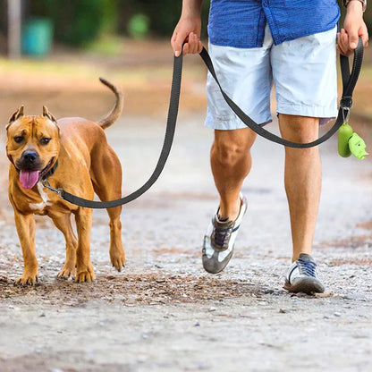 Reflective Pet Harness Leash Collar