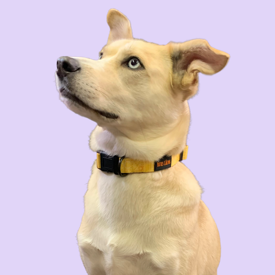 Collier - Rayons de soleil