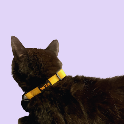 Collier - Rayons de soleil