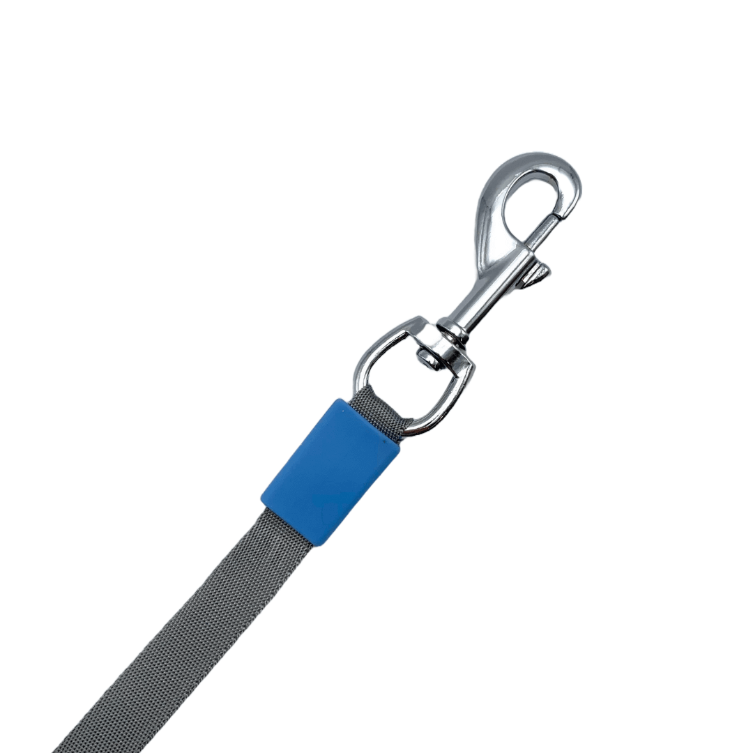 Laisse rétractable 3 en 1