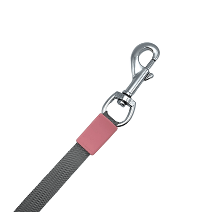 Laisse rétractable 3 en 1