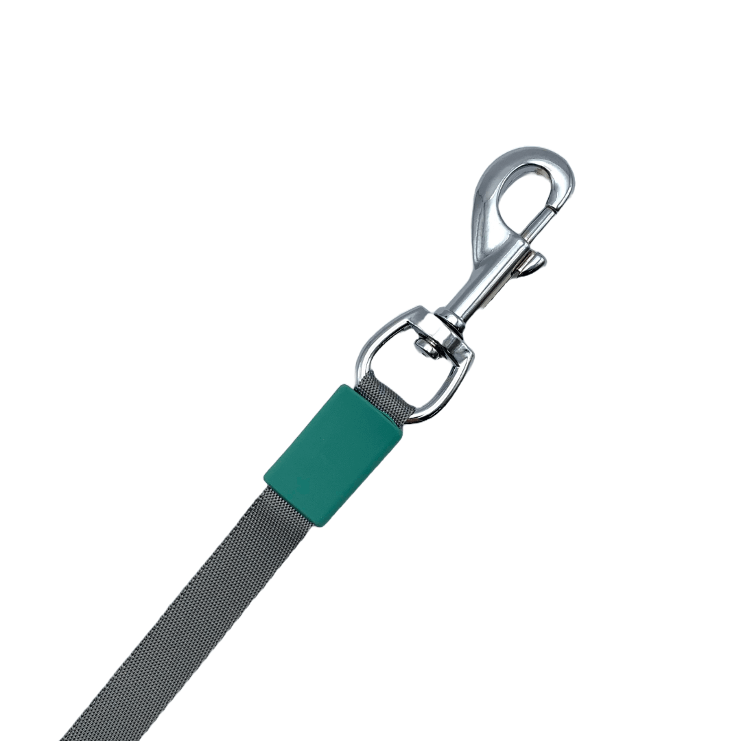 Laisse rétractable 3 en 1