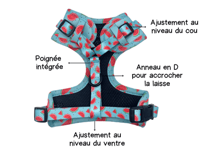 Harnais - Soif de melons