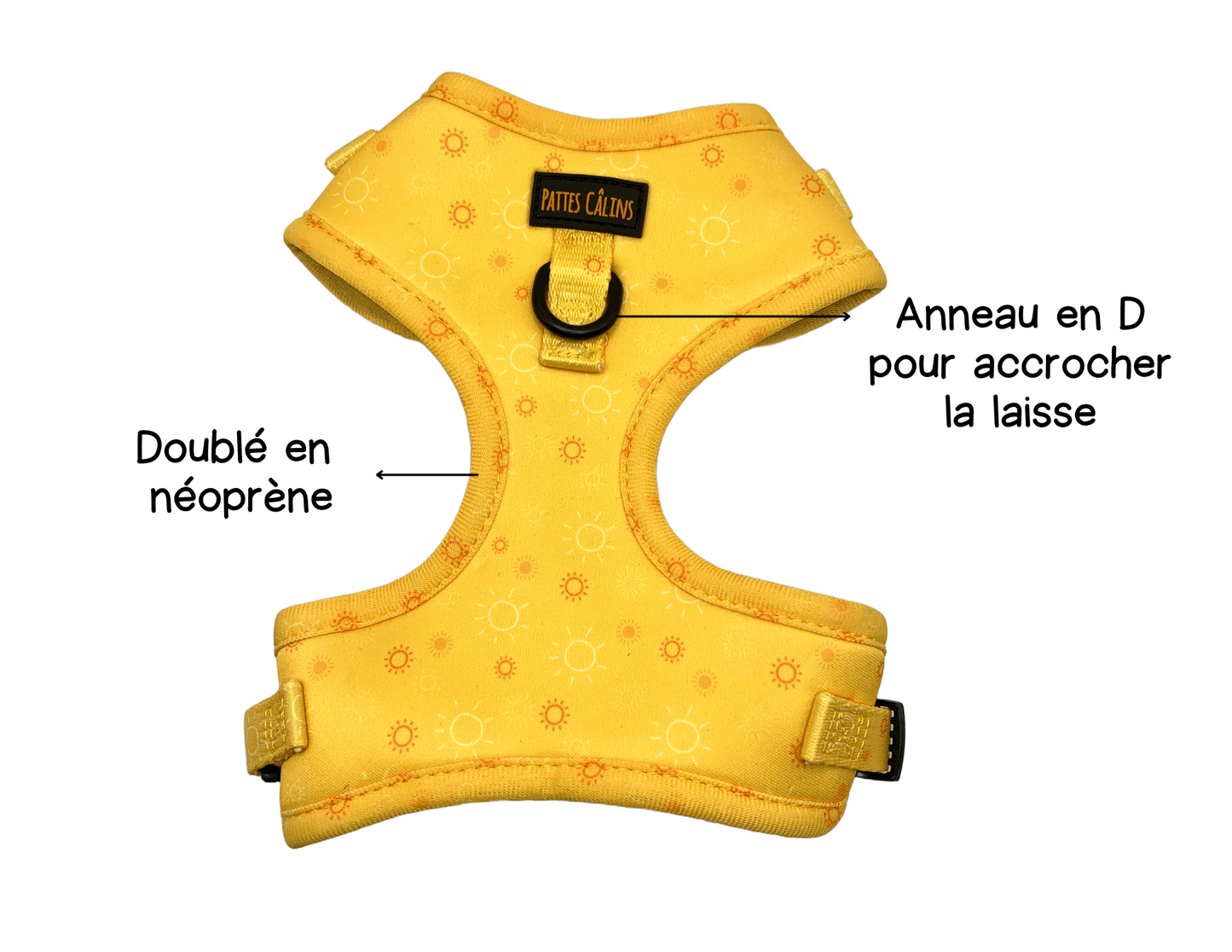 Harnais - Rayons de soleil