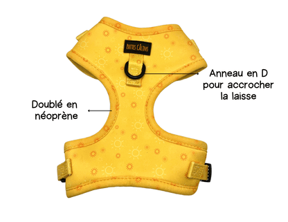 Harnais - Rayons de soleil