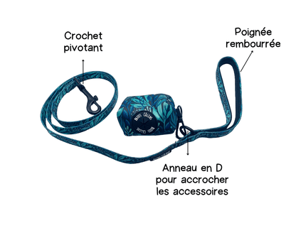 Laisse - Dans la jungle